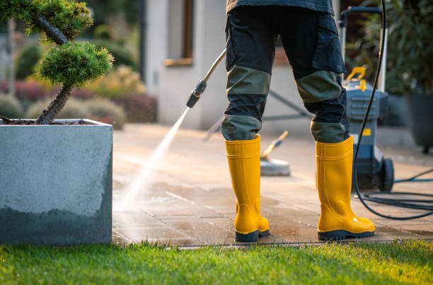 Best Residential Pressure Washing Services  in Carey, OH